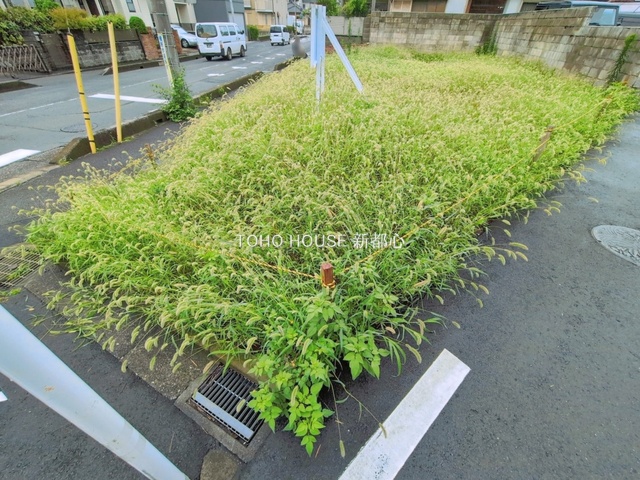 現地土地