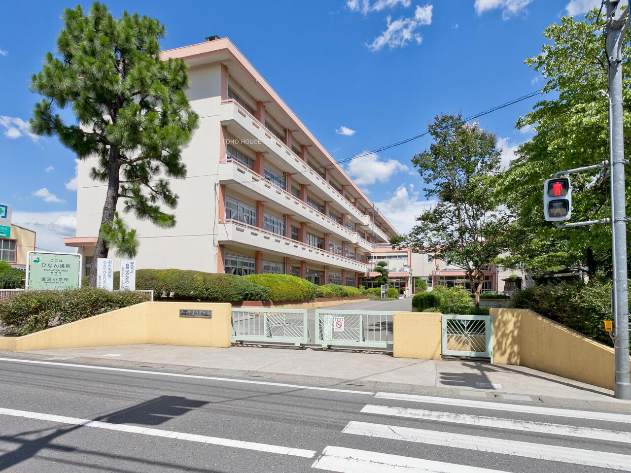 蓮沼小学校まで約700m