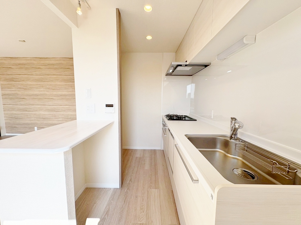 使い勝手の良いカウンター付きのキッチンです。