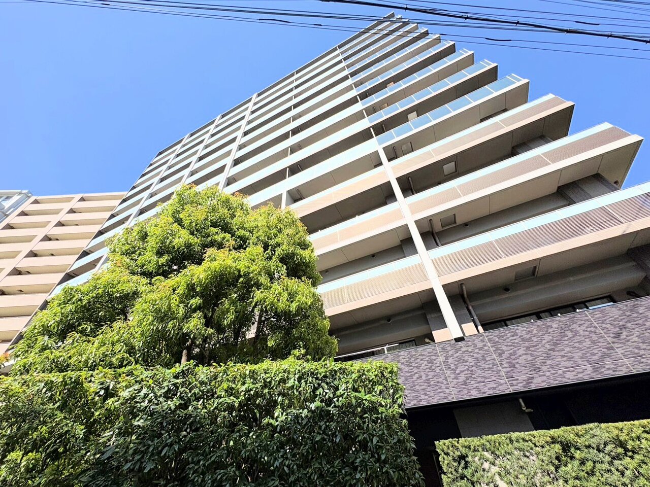 浦和駅徒歩７分、総戸数１３９戸の大規模レジデンス。二面バルコニー付きの角部屋です。