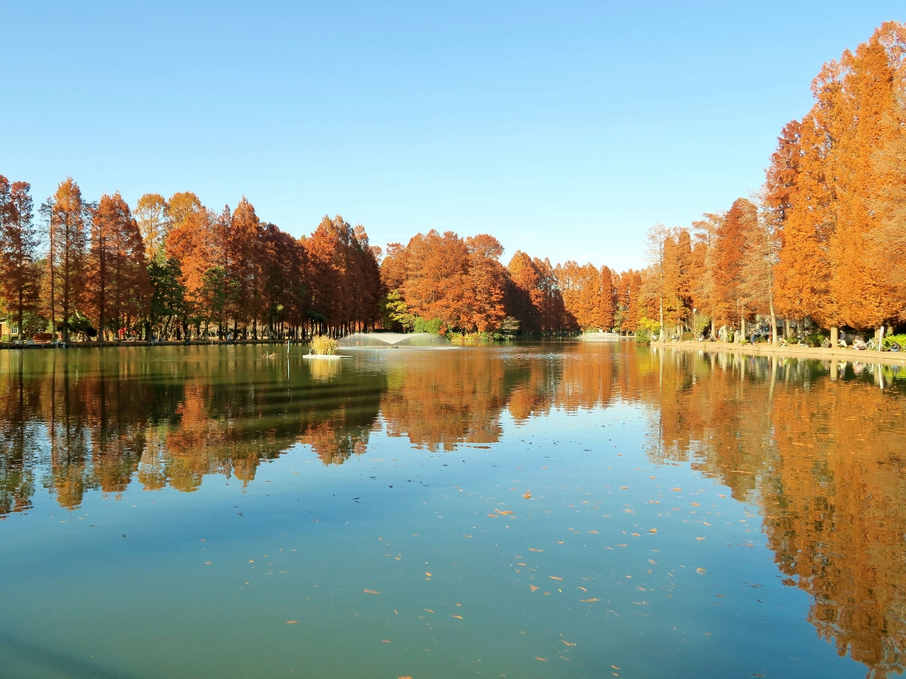別所沼公園まで約550m