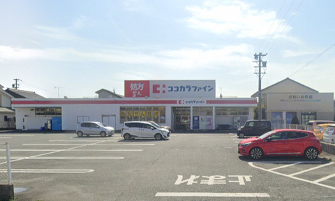 ココカラファイン 西高師店：1100m