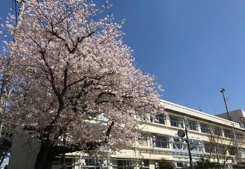 八栄小学校：450m