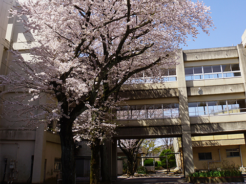さつきが丘中学校：300m