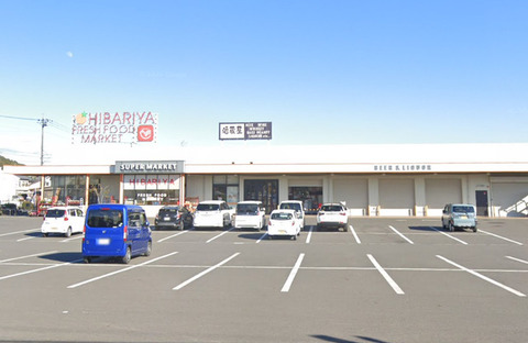 ヒバリヤ新鮮市場 三ツ合店：450m