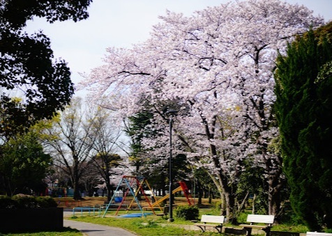 大原公園のスライド画像