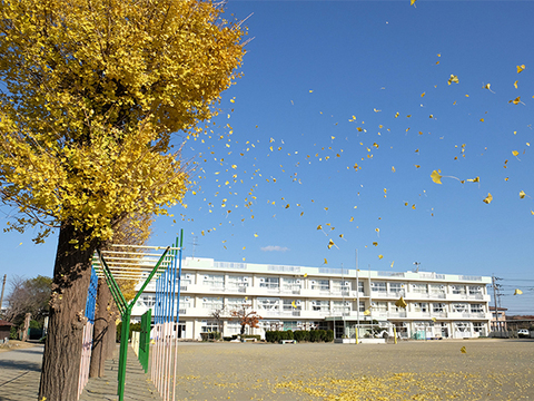 長作小学校：900m