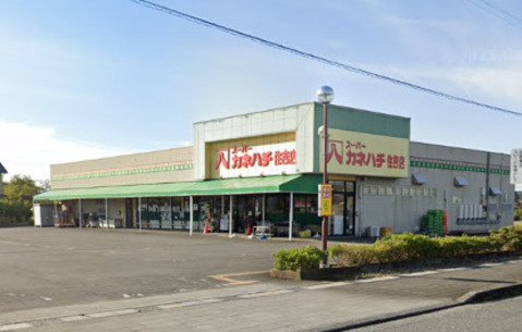 カネハチ 住吉店：1000m