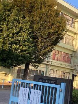 小平市立第二小学校：25m