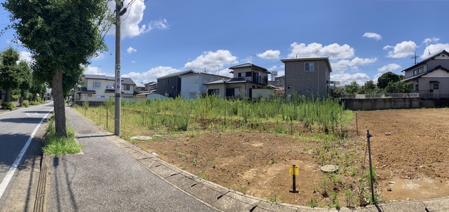 のスライド画像