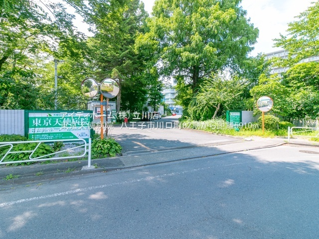 のスライド画像