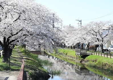青柳公園のスライド画像