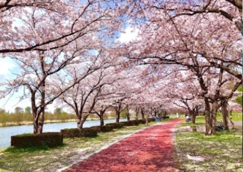 みさと公園：700m