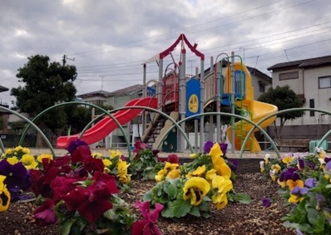  大穴第1号公園：66m