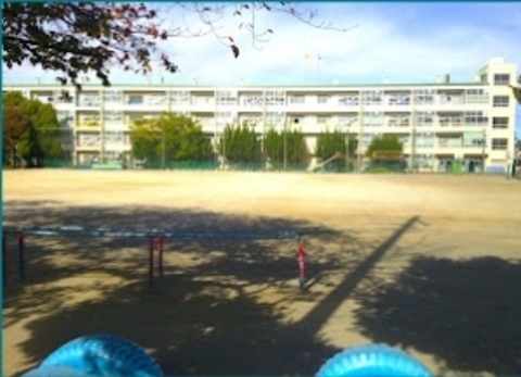 前川東小学校：-m