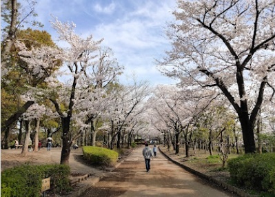 そうか公園のスライド画像