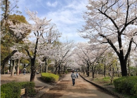  そうか公園：700m