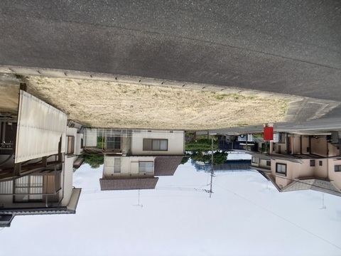 現地写真