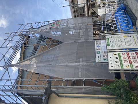 現地写真