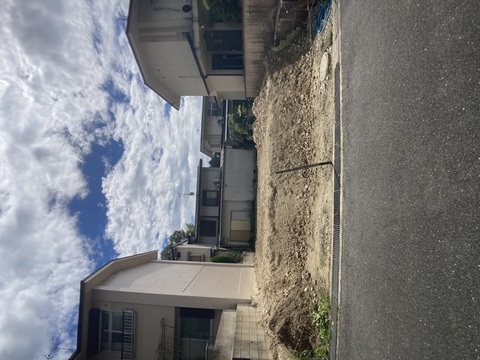 現地写真