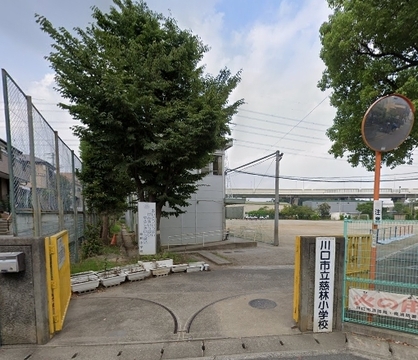 川口市立慈林小学校：-m