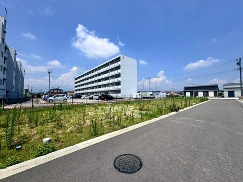 11号地