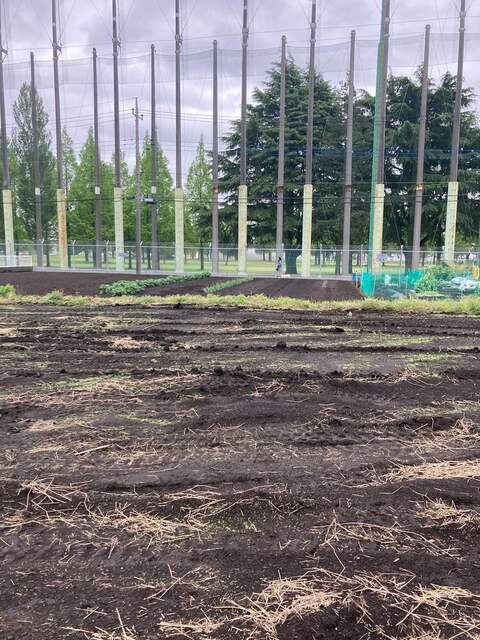 【6号地】現地写真のスライド画像