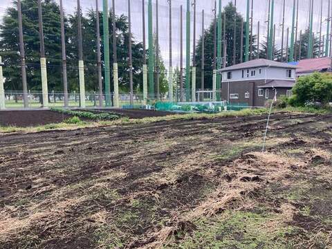 【7号地】現地写真