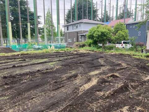【8号地】現地写真