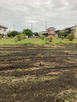 【11号地】現地写真