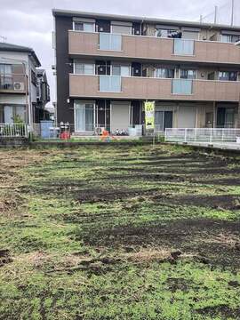 【3号地】現地写真