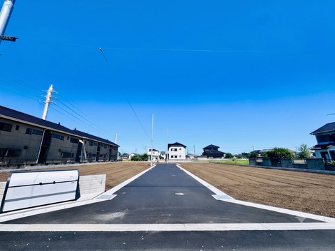 開発道路