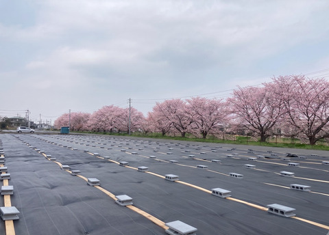10-20区画