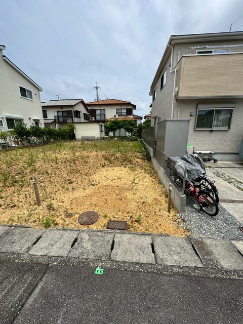 のスライド画像