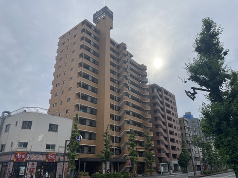 ダイアパレス川崎駅前通り