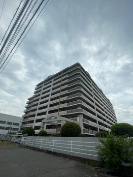 ステラ南博多