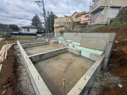 2026年3月19日撮影