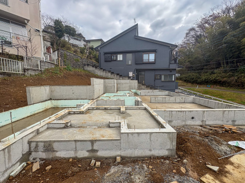 2026年3月19日撮影