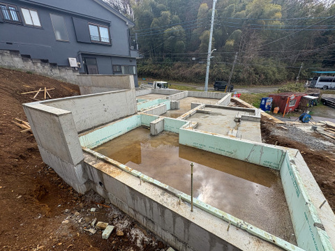 2026年3月19日撮影