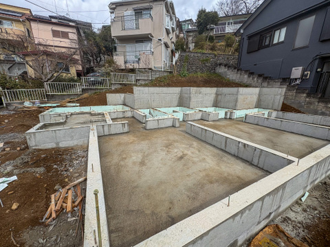 2026年3月19日撮影