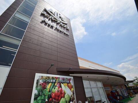 スーパーアルプス日野店まで約804m