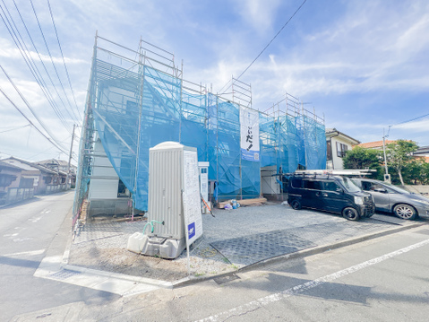 2026年6月1日撮影