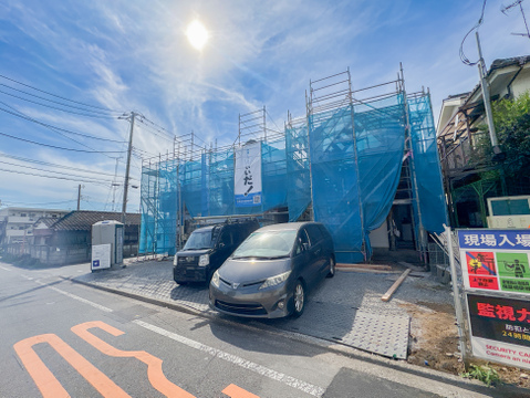 2026年6月1日撮影