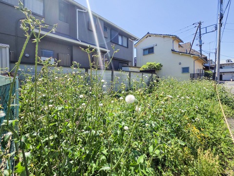 落ち着きのある住宅街に立地し、日常の生活が静かに流れる環境が魅力です。周辺には緑も多く、散歩やジョギングにも最適。心身ともにリラックスできる住環境が整っています。