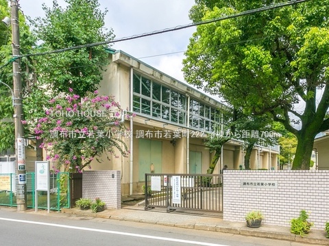 調布市立若葉小学校 700m