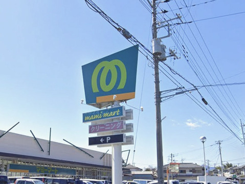 マミーマート金子店 1170m