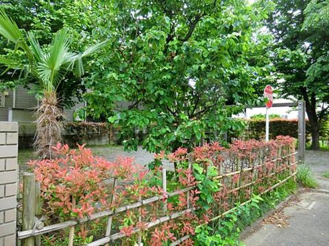 マルメロ公園まで約144m