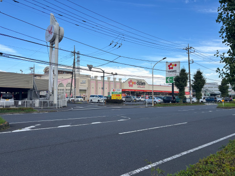オザム バリュー羽村店まで1000m