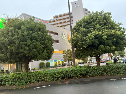 ライフ府中中河原店まで1100m