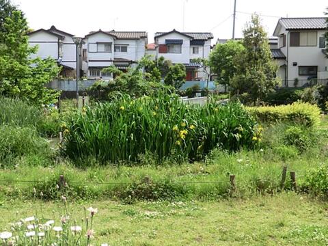 落合川水生公園まで約787m